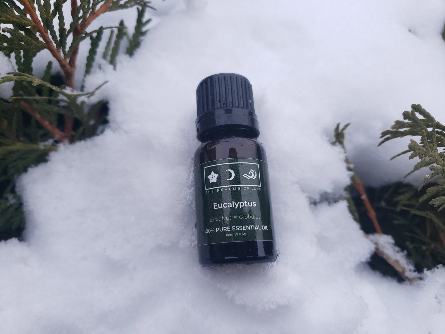 Eucalyptus Essential Oil